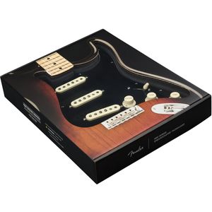 Fender Pre-Wired Strat PG Custom Shop Custom '69 SSS Black