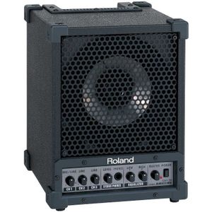 Roland CM-30 Cube Monitorspeaker