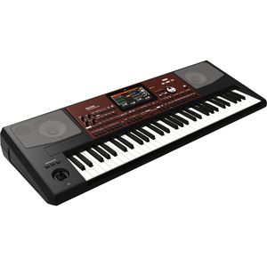 Korg Pa700 Professional Arranger keyboard