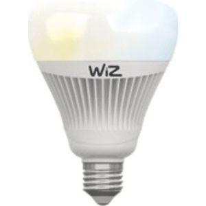WIZ Whites Smart Ledlamp G100 E27 1-pack