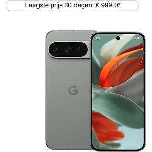 Google Pixel 9 Pro - 512 Gb Grijs