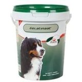 Primeval Gelatinaat voor de hond