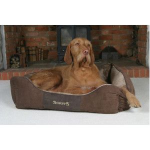 Scruffs Chester Box Bed hondenmand Chocolate (bruin)