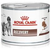 Royal Canin Veterinary Recovery natvoer hond en kat