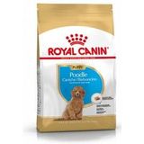 3 kg Royal Canin Puppy Poodle hondenvoer