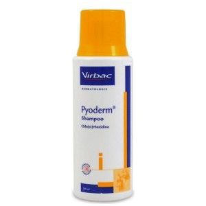 Virbac Pyoderm Shampoo