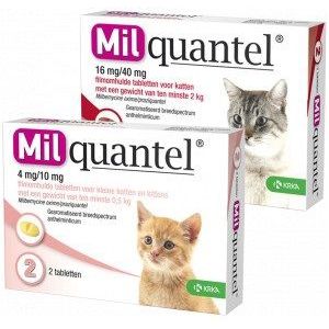 Kat 2+ kg 4 tabletten Milquantel ontwormingstabletten voor de kat