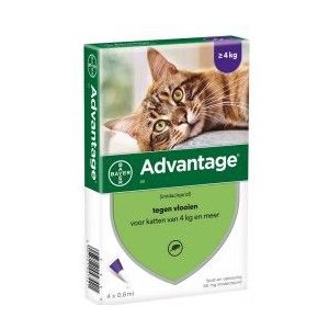 Advantage Nr. 80 Vlooienmiddel (vanaf 4kg) kat