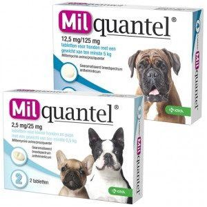 Hond 5+ kg 2 x 4 tabletten Milquantel ontwormingstabletten voor de hond