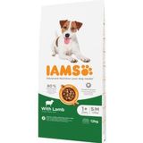 12 kg Iams for Vitality Adult Small & Medium met lam hondenvoer