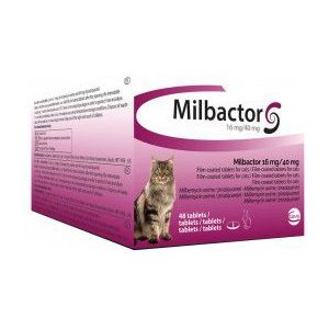 Milbactor Ontwormingsmiddel kat