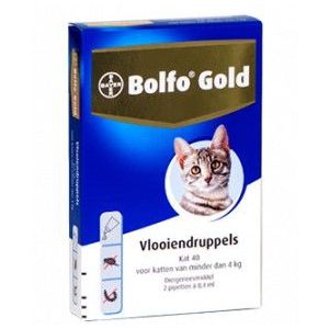 Bolfo Gold 40 kat vlooiendruppels