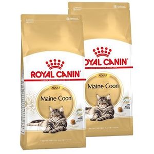 2 kg Royal Canin Adult Maine Coon kattenvoer (dierenbenodigdheden) | € 29  bij Brekz.nl | beslist.nl