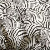 De Witte Lietaer Dekbedovertrek Zebra Eggshell - Lits Jumeaux - 240 x 220 cm - Katoen Satijn