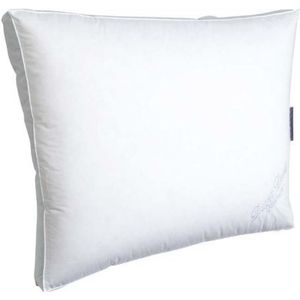 Duvet Dore - Platinum 100% ganzendons boxkussen Zacht