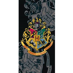 Harry Potter Strandlaken Zweinstein - 70 x 140 cm - Kat en - 70x140 - Multikleur