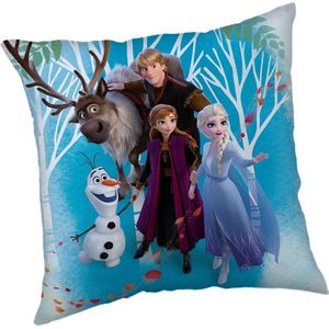 Disney Frozen Sierkussen Family - 40 x 40 cm - Polyester - 40x40 - Blauw;Multikleur;