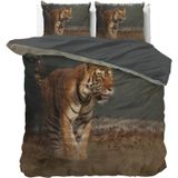 Sleeptime - Dekbedovertrek Nature Tiger - Taupe - 140x200x220 + 1 Kussensloop 60x70