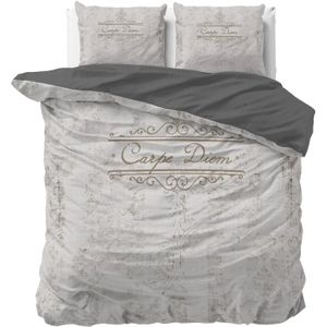 Sleeptime - Carpe Diem 2 - Dekbedovertrek - Zand - 140x200x220 + 1 Kussensloop 60x70 - Beige