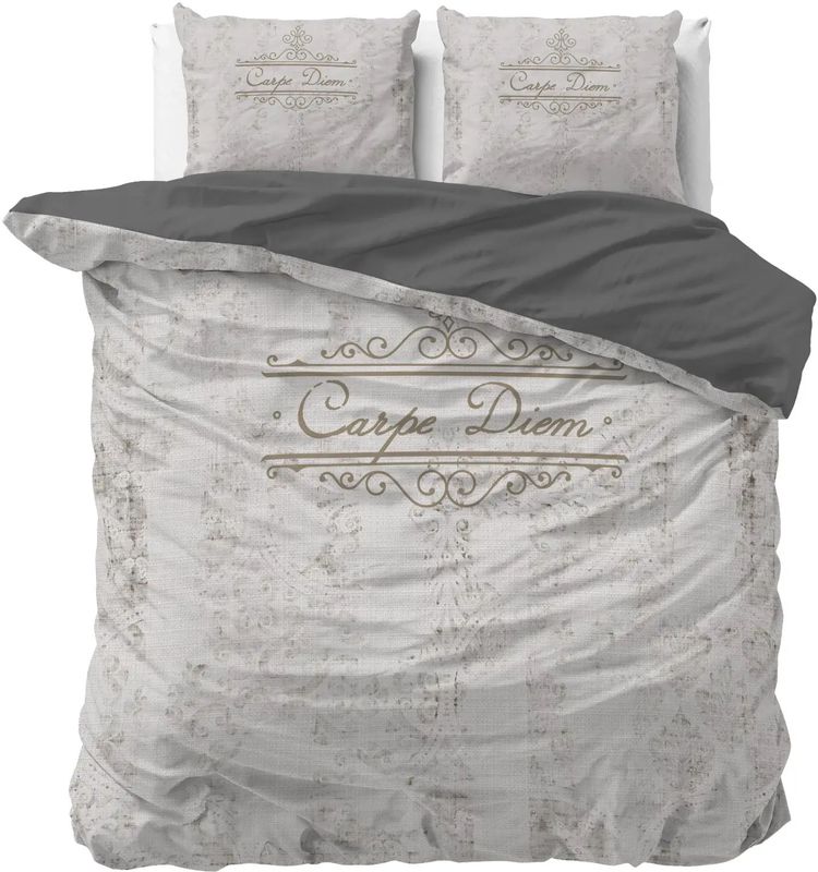 Sleeptime - Carpe Diem 2 - Dekbedovertrek - Zand - 140x200x220 + 1 Kussensloop 60x70 - Beige