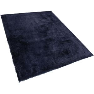 EVREN - Shaggy Vloerkleed - Blauw - 200 X 300 cm - Polyester