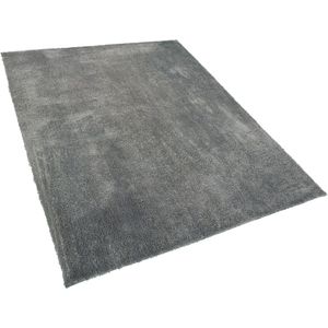 EVREN - Shaggy vloerkleed - Grijs - 140 x 200 cm - Polyester