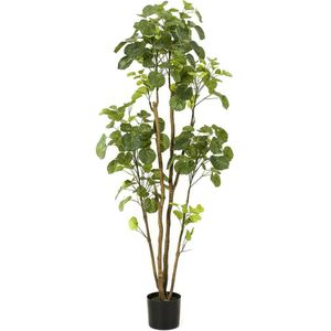 Emerald Kunstboom in pot aralia 160 cm