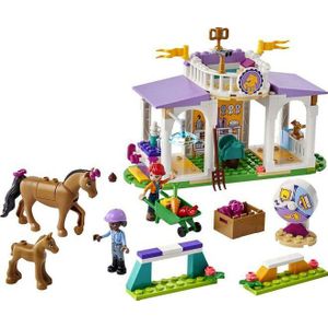 LEGO Friends Paardentraining Paarden Speelgoed Set voor Meisjes en Jongens - 41746