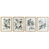 Schilderij DKD Home Decor 50 x 2,5 x 65 cm Shabby Chic Botanische planten (4 Onderdelen)