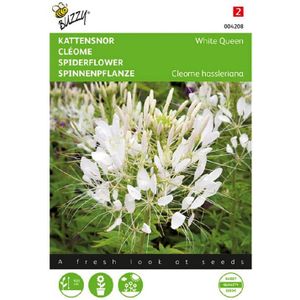 Buzzy - Zaden cleome kattensnor white queen 0.5 gram