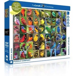 New York Puzzle Company Regenboog van Vogels - 1000 stukjes