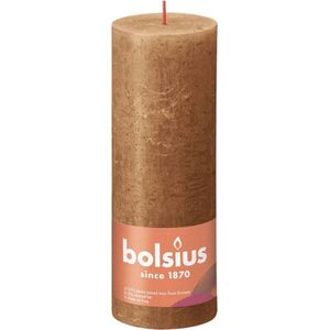 Bolsius Stompkaarsen Shine 4 st rustiek 190x68 mm spice brown