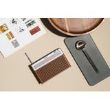 Geneva Hifi-Sound Touring / S+ oplaadbare portable hi-fi DAB+ en FM radio met Bluetooth Cognac