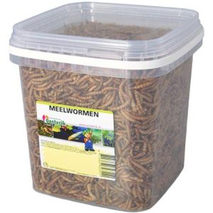 Suren Collection - Meelwormen 2.5 liter