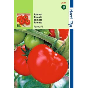 2 stuks - Hortitops - Tomaten Pyros F1