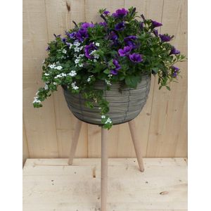 Warentuin Natuurlijk - Rieten plantenbak grijs op poten met zomerbloeiers paars/blauw h55 cm