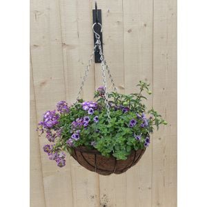 Warentuin Natuurlijk - Hanging basket zomerbloeiers paars/blauw h25 cm