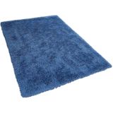 CIDE - Shaggy Vloerkleed - Blauw - 140 X 200 cm - Polyester