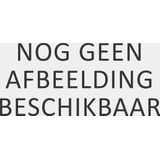 Roland Achterwiel Werke 28"/622 x 24 remnaaf 36 gaats 13G zilver