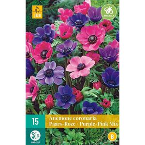 Anemone coronaria paars/roze mix - 15st - Bloembollen - JUB Holland