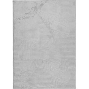 vidaXL-Vloerkleed-IZA-laagpolig-Scandinavisch-240x340-cm-grijs