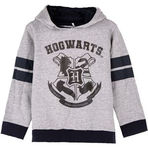 Kinderhoodie Harry Potter Grijs Maat 7 Jaar