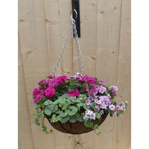Warentuin Natuurlijk - Hanging basket zomerbloeiers roze h25 cm