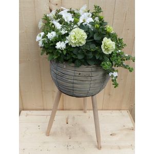 Warentuin Natuurlijk - Rieten plantenbak grijs op poten met zomerbloeiers wit h55 cm