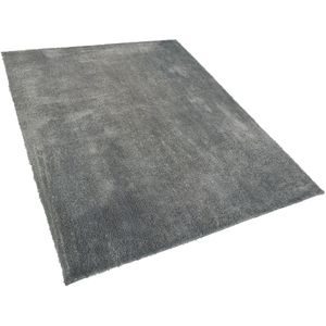 EVREN - Shaggy vloerkleed - Grijs - 160 x 230 cm - Polyester