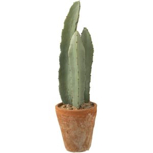 J-Line plant Cactus 3 Stuks In Pot - kunststof - groen - small