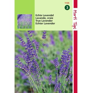 2 stuks - Hortitops - Lavendel Lavandula Officinalis