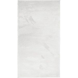 vidaXL - Vloerkleed - OVIEDO - laagpolig - 80x150 - cm - grijs