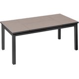 Eettafel Agnes 120 x 60 x 48,5 cm Aluminium