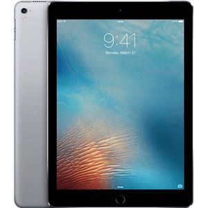 Apple iPad Pro - Wi-Fi 256GB (2016) - Grijs
